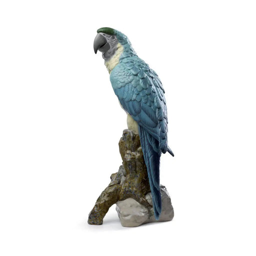 Sculpture "Macaw Bird" - Lladro Lladro