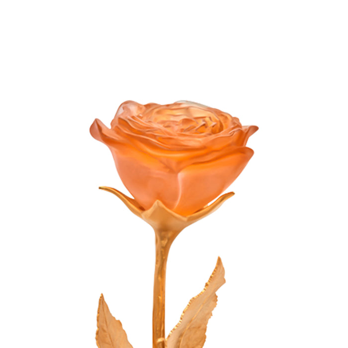 Sculpture "Eternal Rose" - Daum Daum